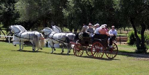several of our group enjoying a ride in one of Mr. Ordas's carriages