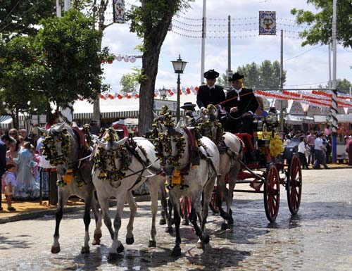 © Jennifer Singleton – Please do not copy or save without permission the five-in-hand team and carriage of one of our hosts during our trip