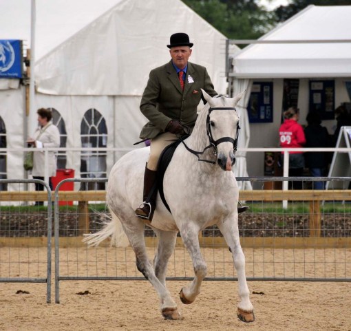 © Jennifer Singleton – Please do not copy or save without permission the judge riding one of the entries in a cob class