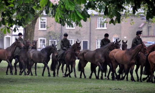 © Jennifer Singleton – Please do not copy or save without permission another section of the long line of King's Troop horses, walking on the grass beside the Long Walk