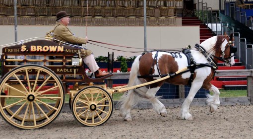 one of the colorful turnouts in the light-trade class