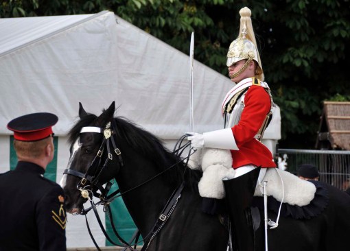 © Jennifer Singleton – Please do not copy or save without permission one of the competitors in the "best turned out trooper" class, waiting to go into the main arena