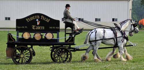 © Jennifer Singleton – Please do not copy or save without permission Ayrshire Farm gave a demonstration of a beer dray, pulled by two huge Shire horses; after watching a few turns around the "green," everyone was invited to come take a close look at the wagon, the horses, and the harness