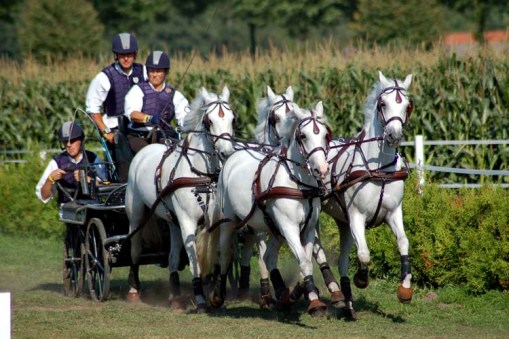 Lisa Stroud galloping into an obstacle (photo by A.J.)