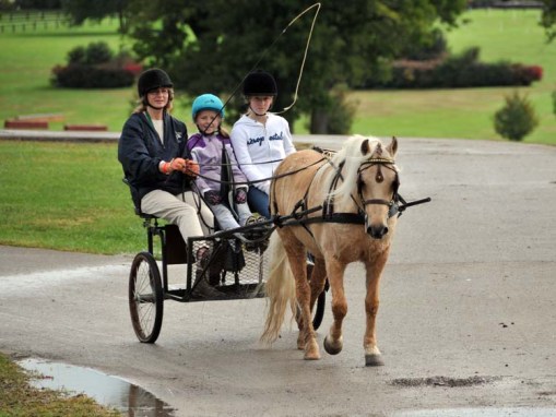 enjoying the Horse Park between rain storms (1) ...