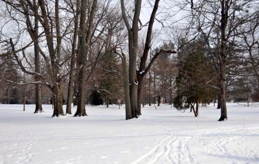 © Jennifer Singleton – do not copy or save without permission