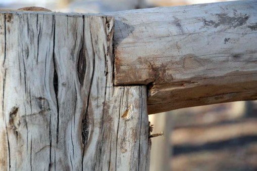 © Jennifer Singleton – do not copy or save without permission