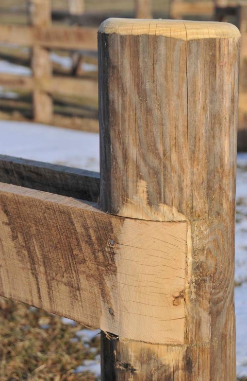 © Jennifer Singleton – do not copy or save without permission