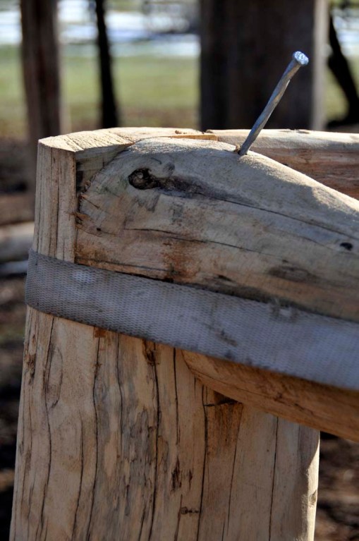 © Jennifer Singleton – do not copy or save without permission