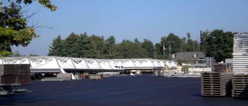 © 2010 Jennifer Singleton - Please do not copy or save without permission