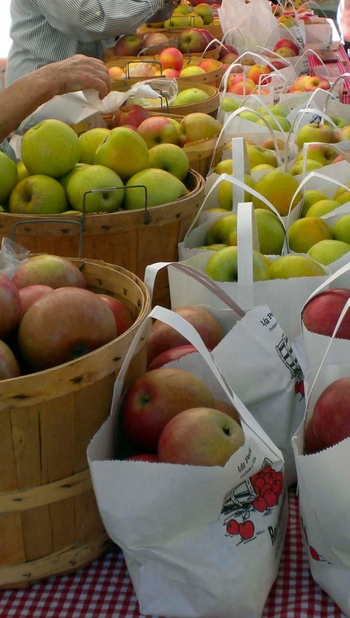 © 2010 Jennifer Singleton - Please do not copy or save without permission