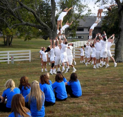 © 2010 Jennifer Singleton - Please do not copy or save without permission