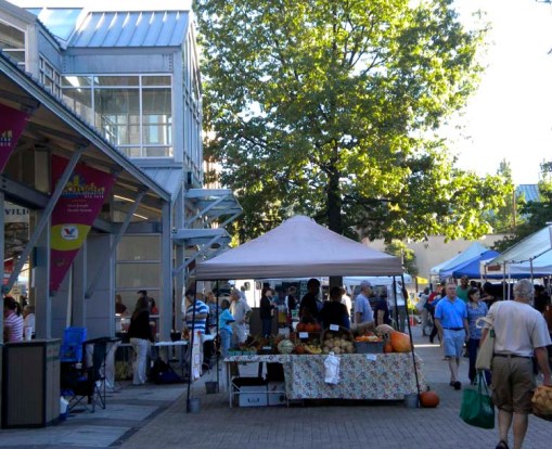 © 2010 Jennifer Singleton - Please do not copy or save without permission