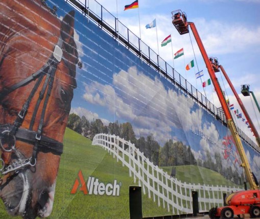 © 2010 Jennifer Singleton - Please do not copy or save without permission