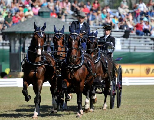 © 2010 Jennifer Singleton - Please do not copy or save without permission