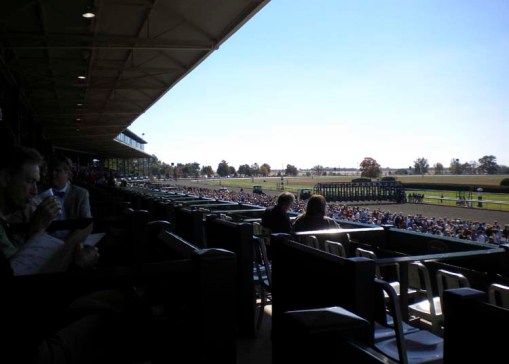 Keeneland view from box
