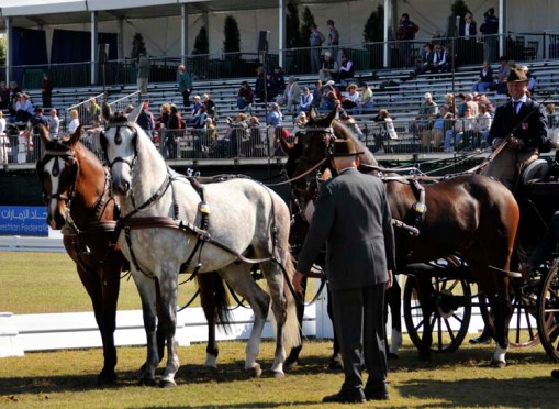 © 2010 Jennifer Singleton - Please do not copy or save without permission