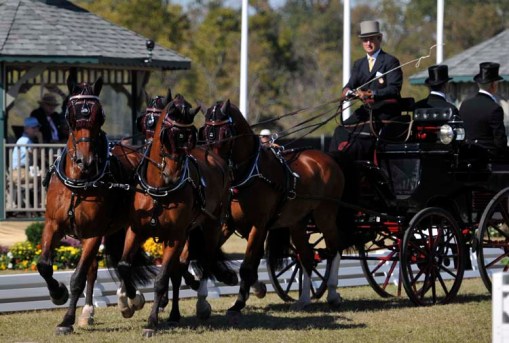 © 2010 Jennifer Singleton - Please do not copy or save without permission