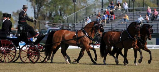 © 2010 Jennifer Singleton - Please do not copy or save without permission