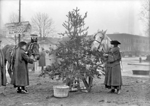 Christmas dinner for horses 1918