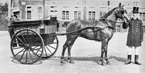Miss Brocklebank - governess cart - 30 May 1914