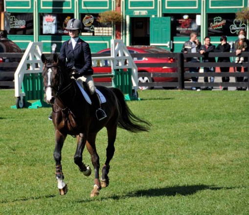 blog - Nat Horse Show - downtown promo 5