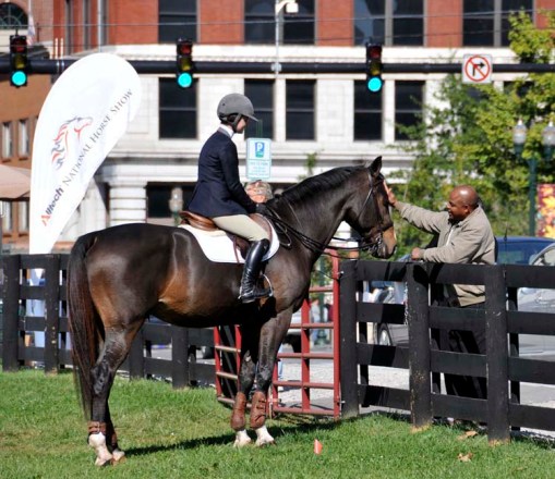 blog - Nat Horse Show - downtown promo 7