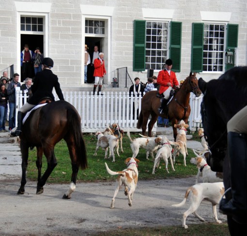 horses and hounds 11