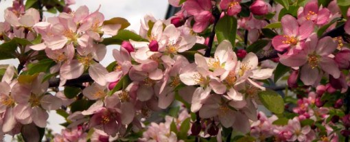 © Jennifer Singleton