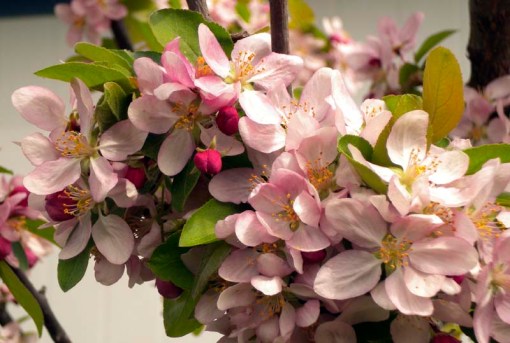 © Jennifer Singleton