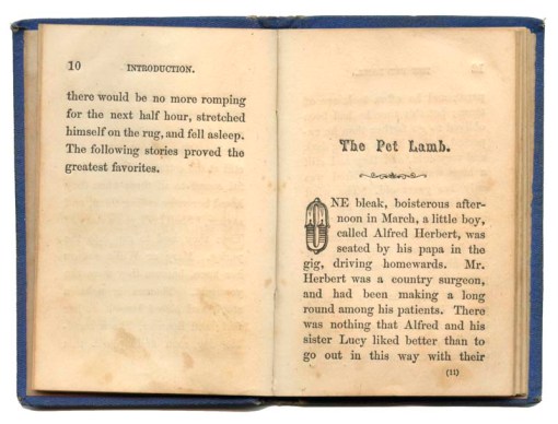 Pet Lamb book - pp 10 and 11