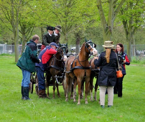 © 2012 Jennifer Singleton - Please do not copy or save without permission.