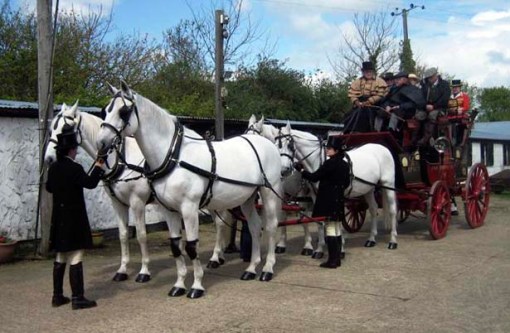 photo by Susan Townsend