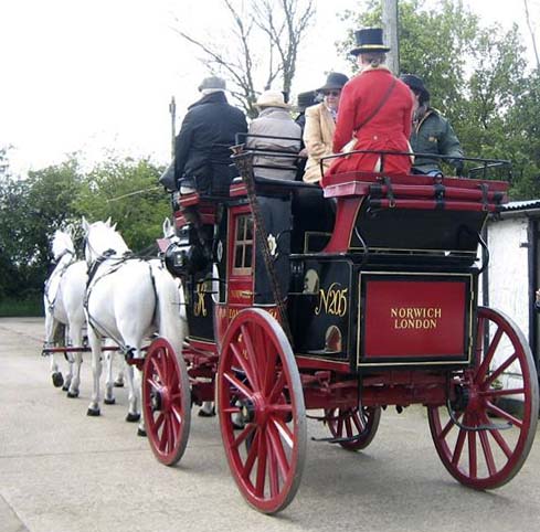 photo by Susan Townsend