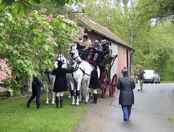 photo by Susan Townsend