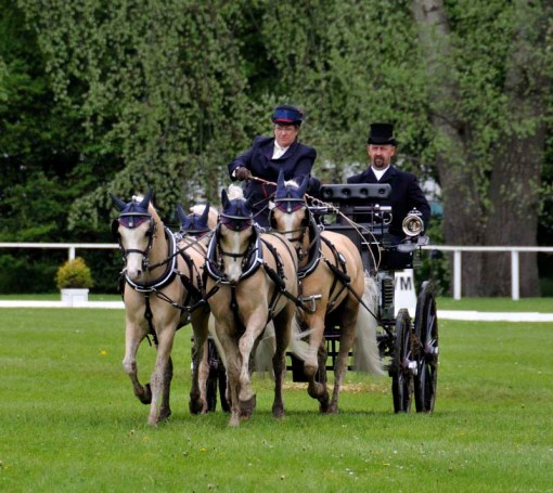 © 2012 Jennifer Singleton - Please do not copy or save without permission.