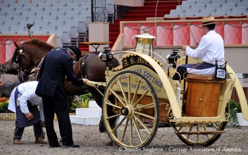 © 2012 Jennifer Singleton - Please do not copy or save without permission.