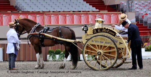 © 2012 Jennifer Singleton - Please do not copy or save without permission.