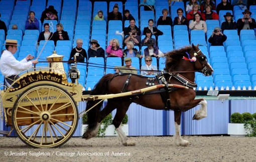 © 2012 Jennifer Singleton - Please do not copy or save without permission.