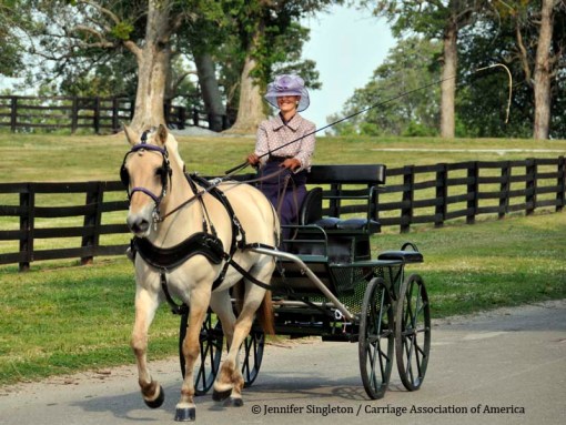 © 2012 Jennifer Singleton - Please do not copy or save without permission