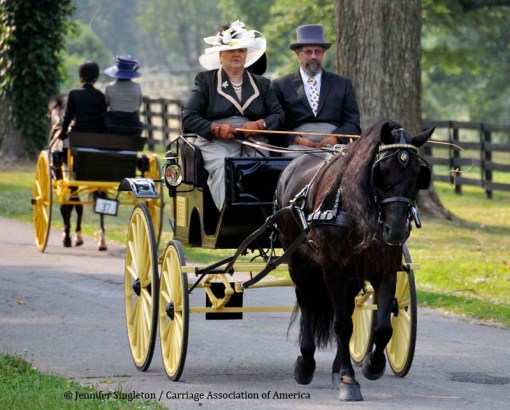 © 2012 Jennifer Singleton - Please do not copy or save without permission