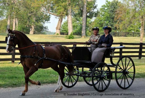 © 2012 Jennifer Singleton - Please do not copy or save without permission