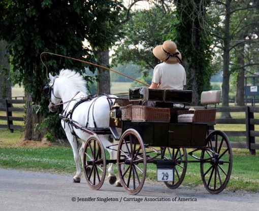 © 2012 Jennifer Singleton - Please do not copy or save without permission