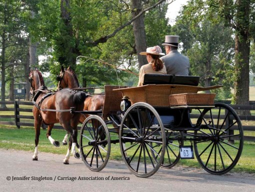 © 2012 Jennifer Singleton - Please do not copy or save without permission