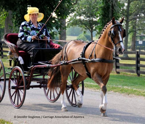 © 2012 Jennifer Singleton - Please do not copy or save without permission