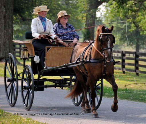 © 2012 Jennifer Singleton - Please do not copy or save without permission