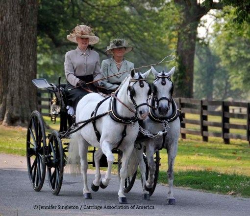 © 2012 Jennifer Singleton - Please do not copy or save without permission