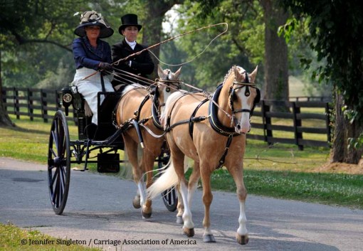 © 2012 Jennifer Singleton - Please do not copy or save without permission