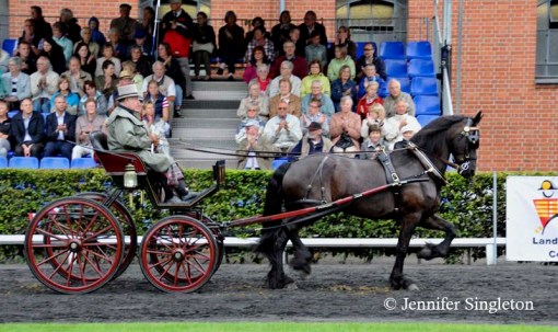 © 2012 Jennifer Singleton – Please do not copy or save without permission