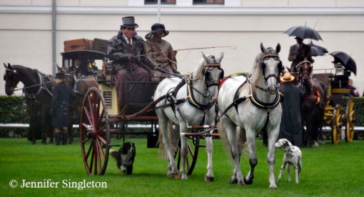 © 2012 Jennifer Singleton – Please do not copy or save without permission